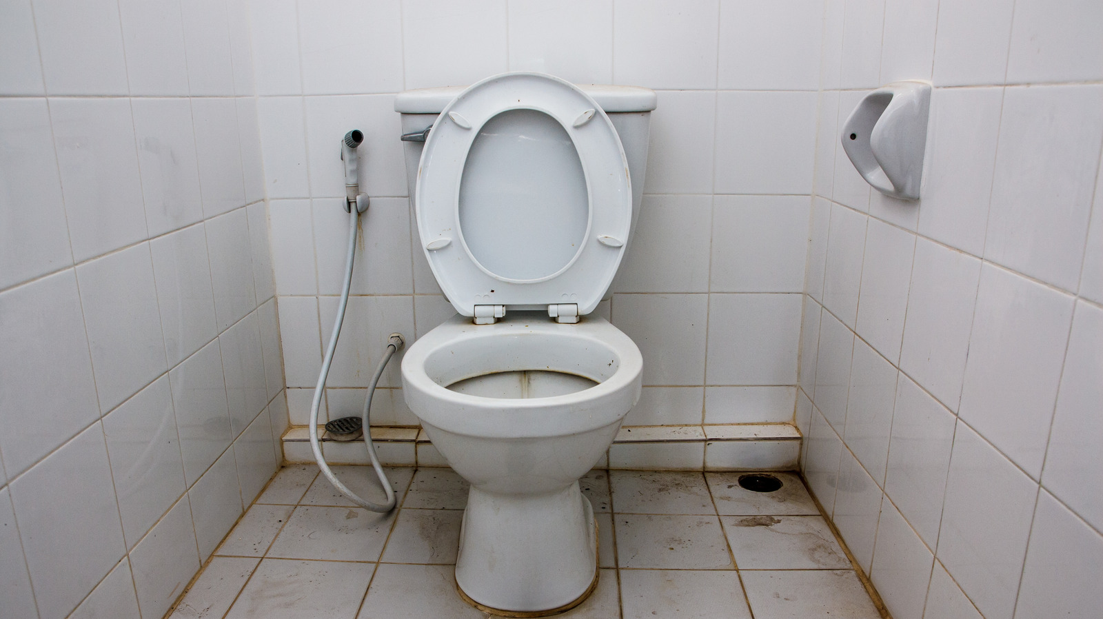 Tıkanıklık Açma Sonrası Su Geri Tepiyorsa Sebebi Ne Olabilir?